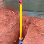 WhatsApp Image 2023-02-13 at 06.41.46