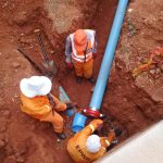 WhatsApp Image 2023-02-13 at 06.41.53